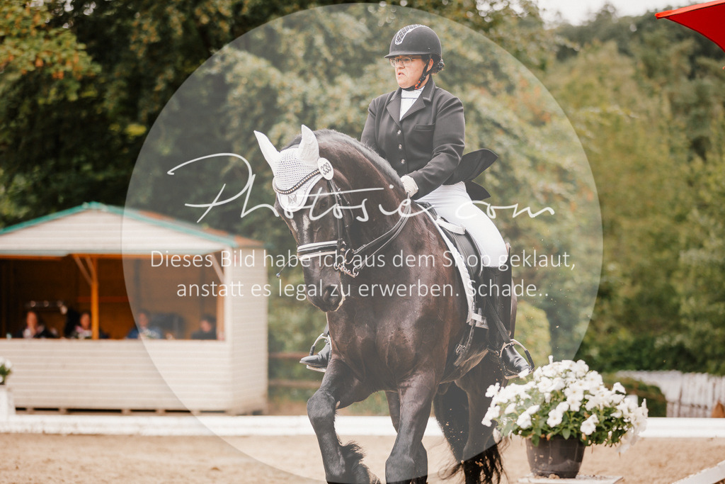3I6A7762 | Stimmungsvolle Portraits und Reitsportfotografie im Ruhrgebiet und im Münsterland.

Pferdefotografie, Hundefotografie, Tierfotografie, Reportagen, Portraits von Tier und Mensch, Turnierfotografie in Bochum, Recklinghausen, Marl, Haltern am See, Dülmen.. - Realisiert mit Pictrs.com