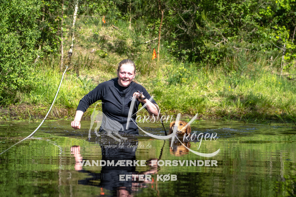 0950DKK9_ZZ93229 | kk-dogfotos