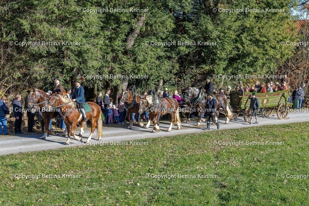 LBT25-784 | foto-bettina-krinner - Realisiert mit Pictrs.com
