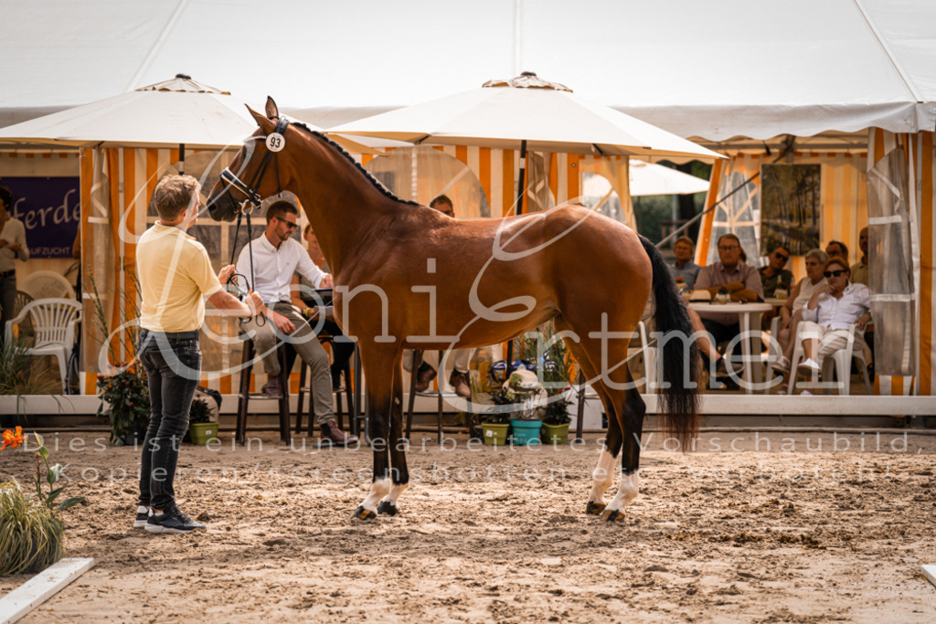 6.Fr00112 | Leoni Ertmer Photography - Realisiert mit Pictrs.com