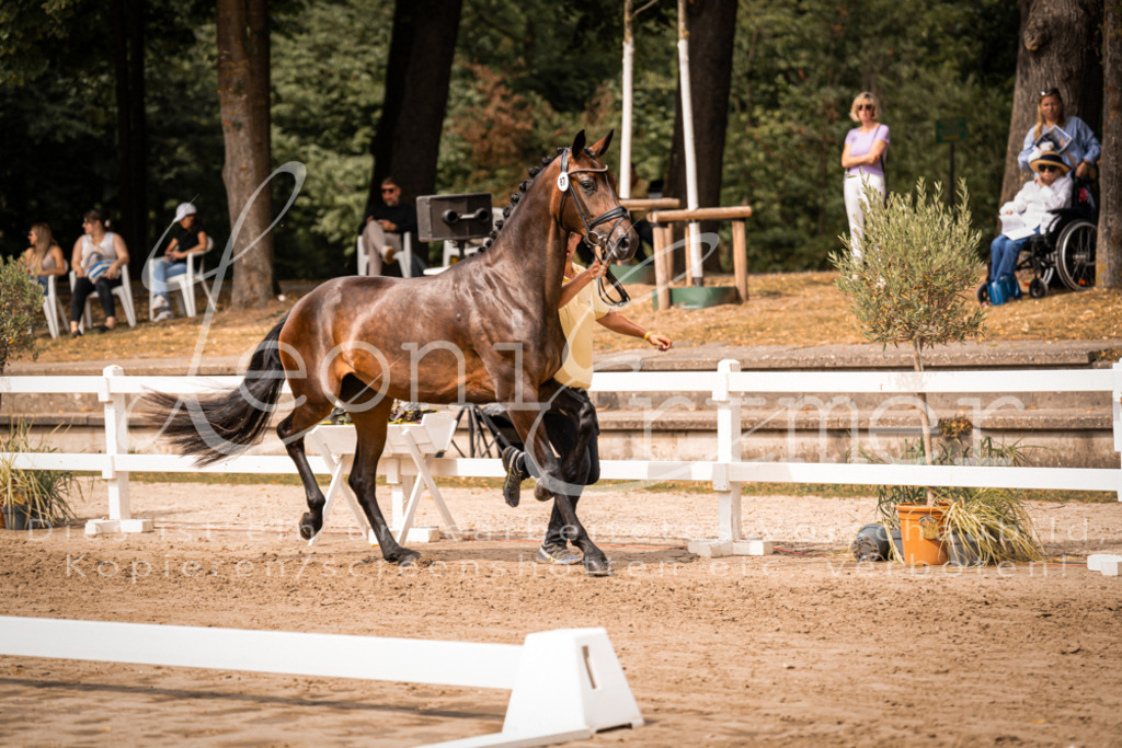 5.Fr00072 | Leoni Ertmer Photography - Realisiert mit Pictrs.com