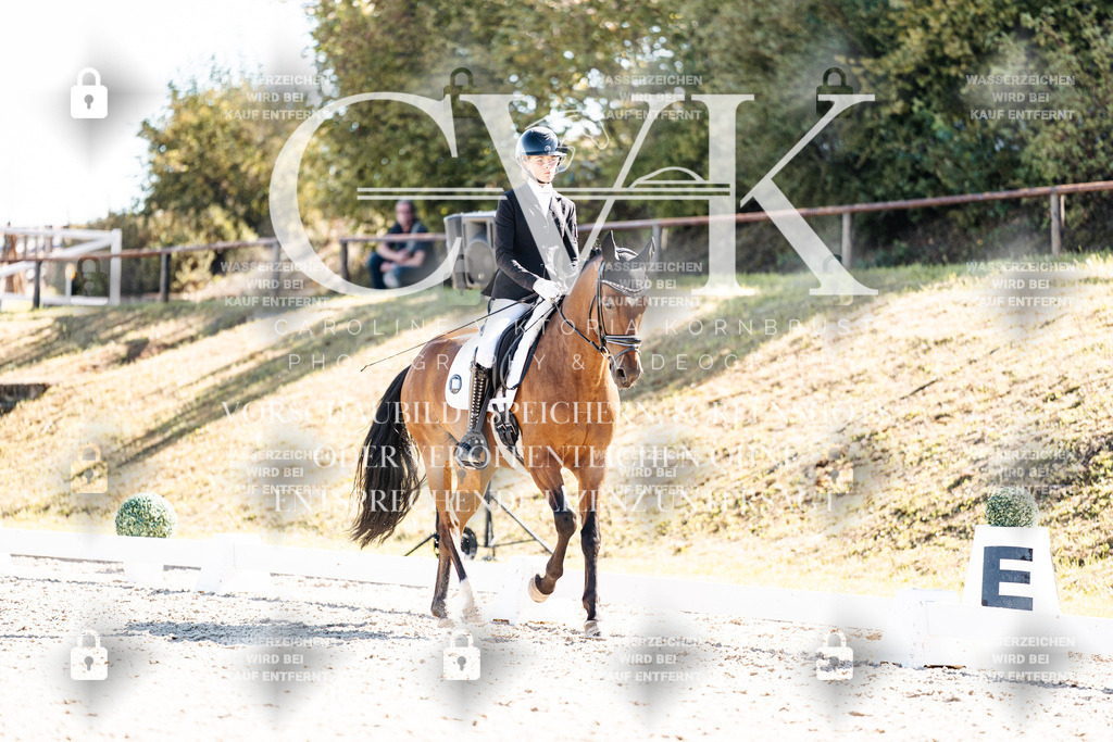 CK909267 | Turnierfotografie Pferdefotografie Trier Rheinland-Pfalz Pferdesport Reitsport Tierfotografie Sportfotografie Pferdevideo Pferdevideografie Equestrianvideography equestrianphotography  - Realisiert mit Pictrs.com