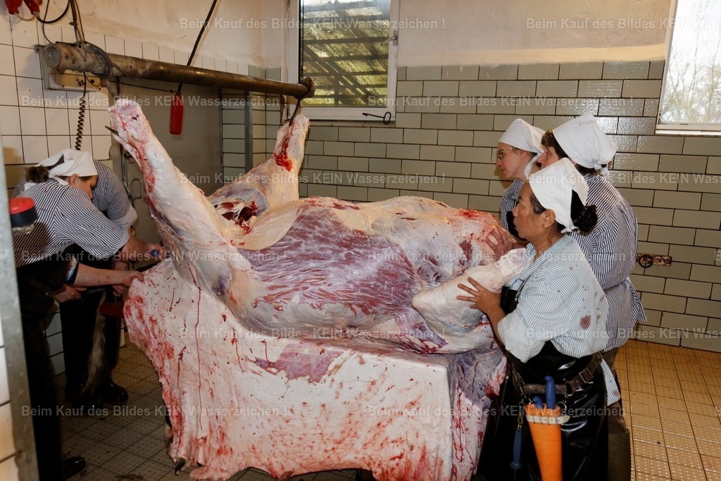 Schlachtung_Tauscher_2008_54 | Eine Herausforderung, die ich nie vergessen werde---In meiner Zeit als Videograf erhielt ich die unterschiedlichsten Aufträge. Einer davon führte mich in eine Fleischerei, wo ich die Schlachtung eines rund 500 Kilogramm schweren Rindes dokumentieren sollte.--- Während der Dreharbeiten konzentrierte ich mich ganz auf meine Aufgabe. Für Gefühle blieb in diesem Moment kaum Zeit. Erst zu Hause, als ich das Material auf meinem 27-Zoll-Monitor sichtete, wurde mir bewusst, was ich an diesem Tag eigentlich gefilmt hatte. Plötzlich wirkte alles ganz anders als noch hinter der Kamera. Dieser Moment hat mich nachdenklich gemacht und mir gezeigt, dass der Blick durch den Sucher manchmal eine gewisse Distanz schafft.--- Es war einer der ungewöhnlichste Aufträge. Gerade deshalb gehört auch diese Erfahrung zu meinen „Geschichten hinter der Kamera“. - Realisiert mit Pictrs.com