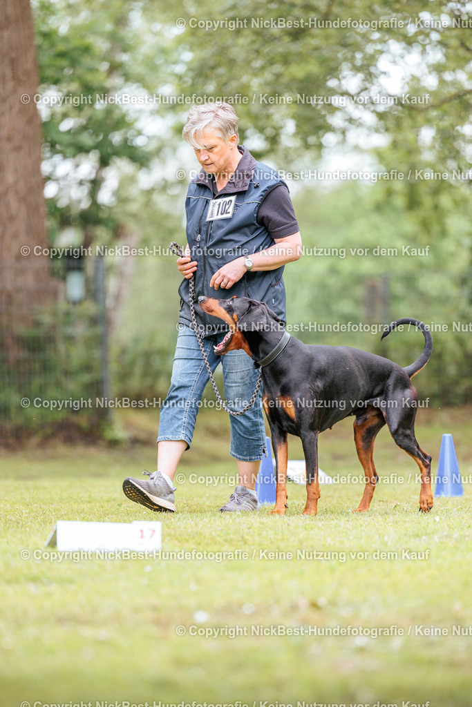 RO-Blumenthal-2026-Nickbest-Hundefotografie-5235 | Dein Hund! Dein Moment! Deine Erinnerungen! Hundefotografie in Bremen Blumenthal. Ich fange die besonderen Momente deines Vierbeiners ein – ob Indoor mit Blitzanlage oder in der freien Natur. Sicher dir dein Moment und dein Termin für eure Erinnerungen.