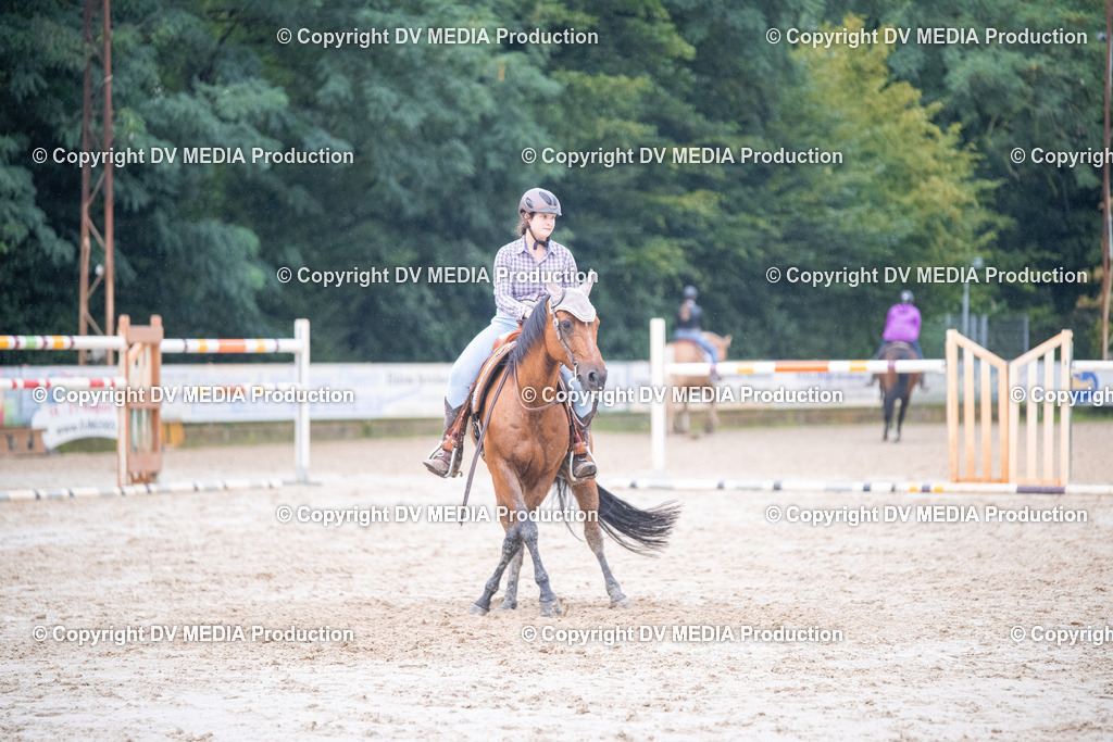 ZS2_4168 | dv-media-shop - Realisiert mit Pictrs.com