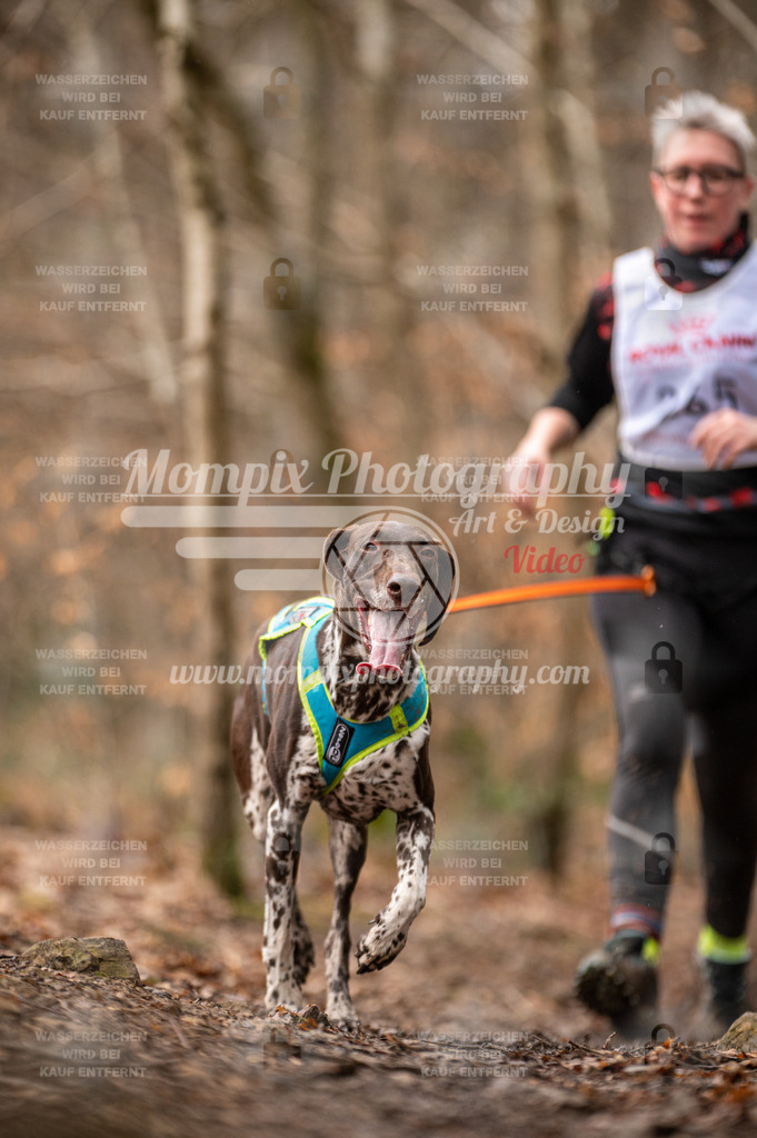 SPA_2023_DIM_CCK-53 | PayLife