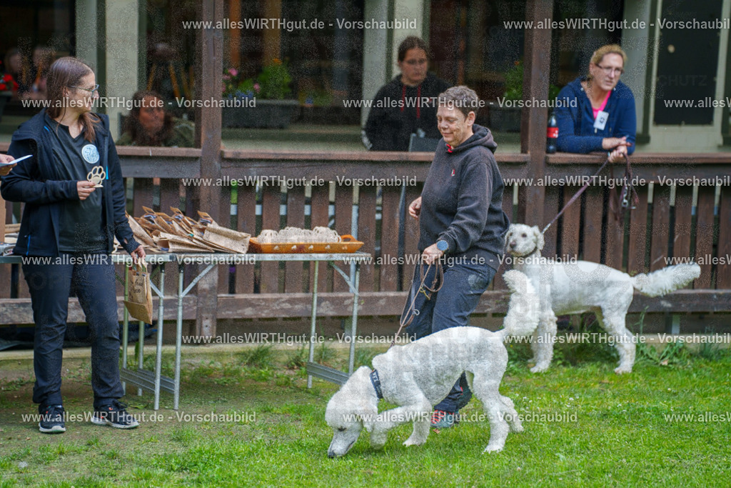 @allesWIRTHgut_Tierfotografie - www.allesWIRTHgut.de - 7R503974 | Professionelle Tierfotografie in Mönchengladbach von Daniel Wirth (allesWIRTHgut). Liebevolle & natürliche Bilder von Hunden & Katzen für unvergessliche Erinnerungen.