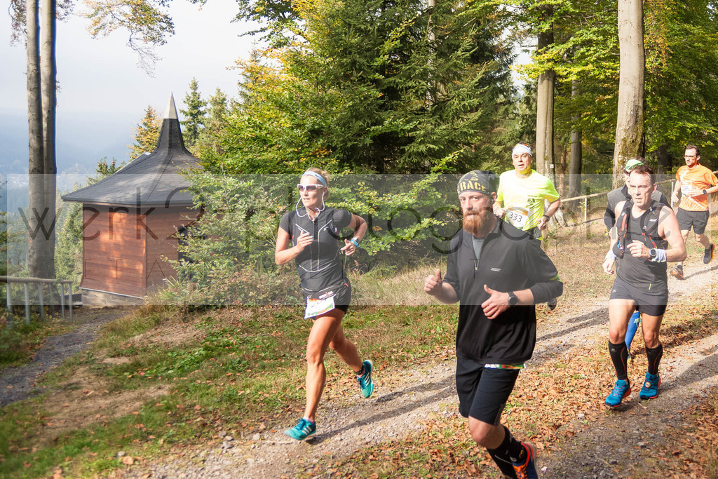 Herbstlauf 2018 | Neuhaus/Rwg. - Masserberg am 7. Oktober 2018