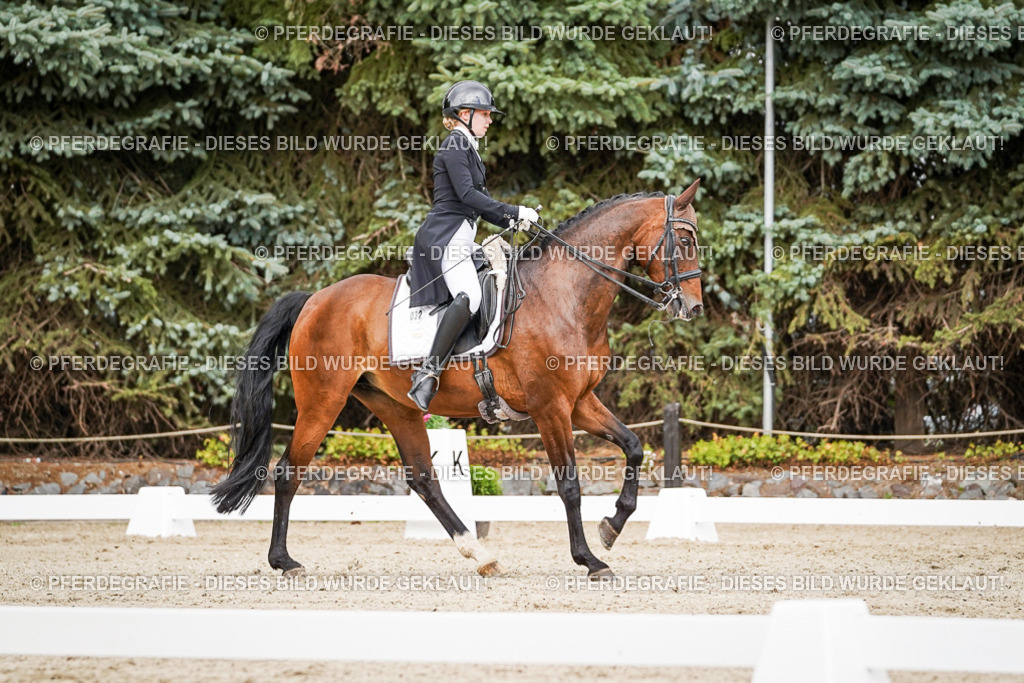 DSC05565 | Pferdegrafie