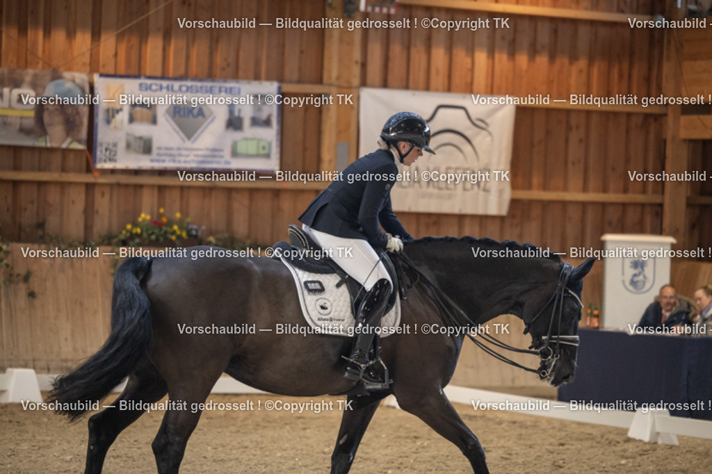 _D5A6392 | Emotionale Pferde- & People-Fotografie rund um Heidelberg, Leimen & Umgebung. Natürliche Fotos von Pferd, Mensch & Familie. Jetzt Termin sichern!