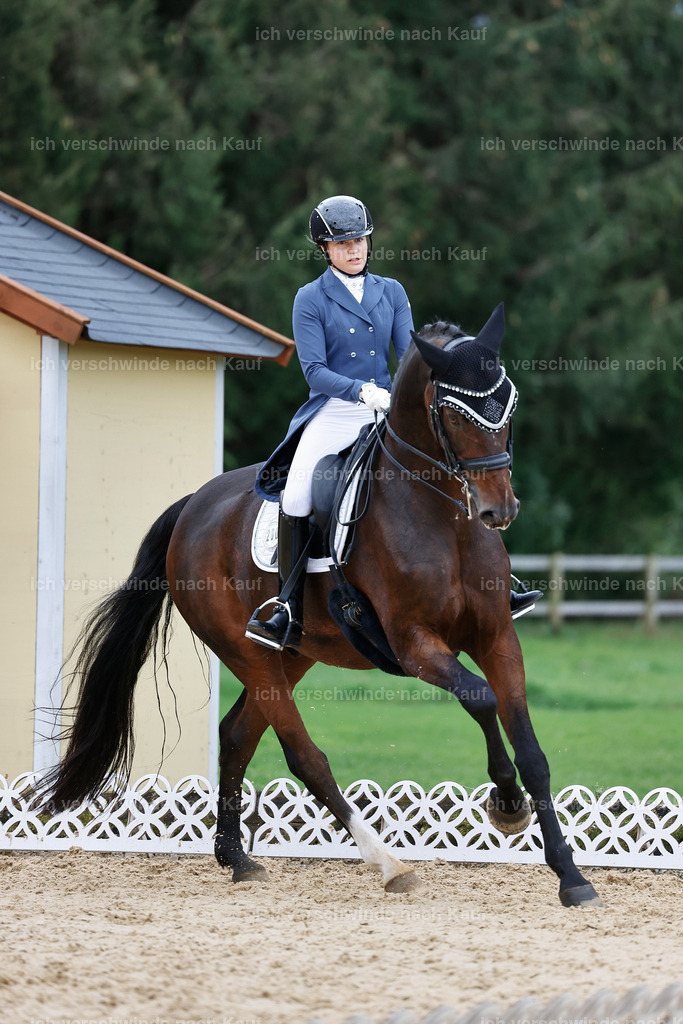6-200-AMATUER-DRESSUR S_  -StoibPH-3527 | working equitationturnier fotograf videograf stoibphotography marixx film working equitation deutschland reitsport turnierfotografie eventfotografie equestrian events