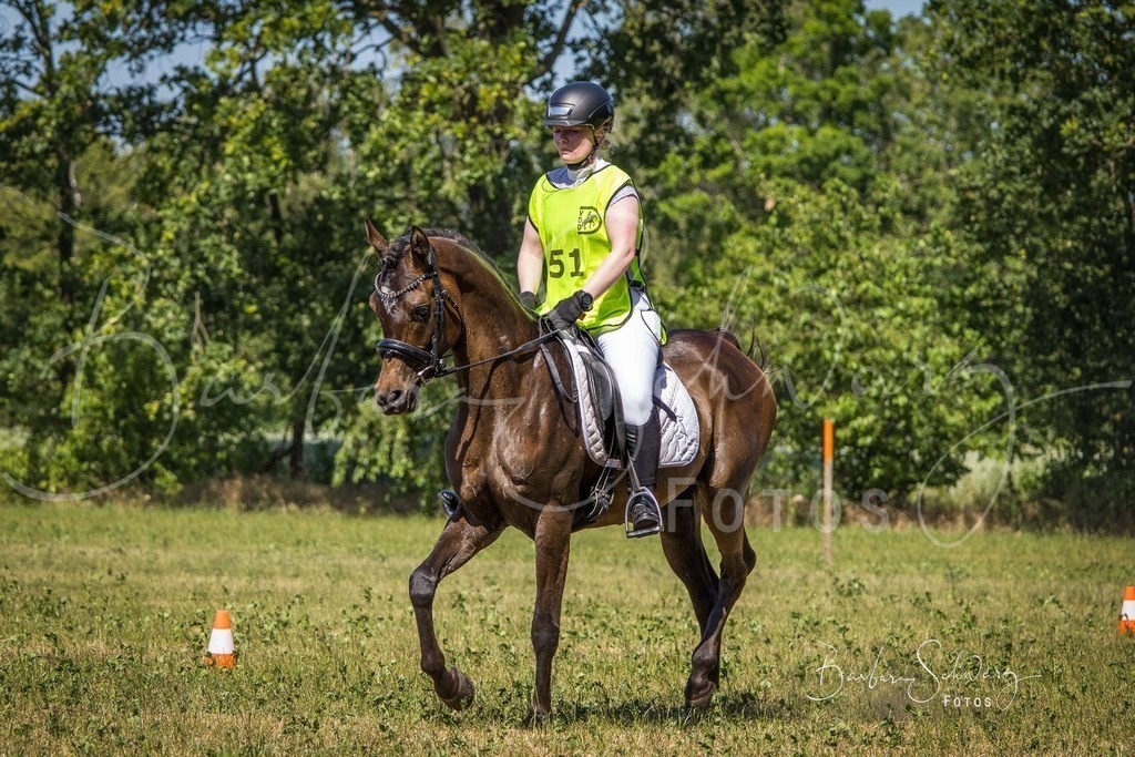 CJP_2026-06-26_184 | Stimmungsvolle Fotografie von Pferden, fotografische Begleitung von Veranstaltungen, Golfturnieren und Distanzritten - Realisiert mit Pictrs.com
