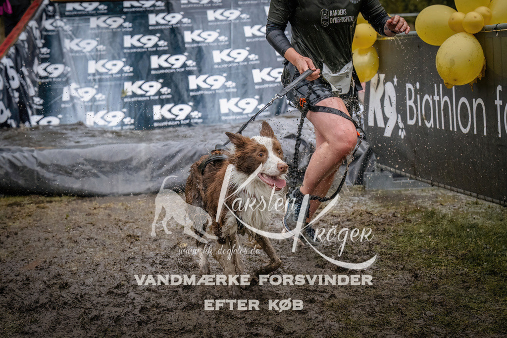 1245_ZZ90501 | kk-dogfotos