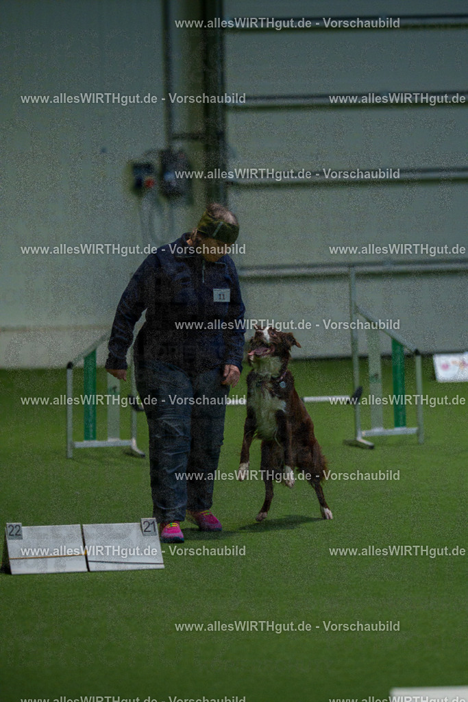 7R505015 | Professionelle Tierfotografie in Mönchengladbach von Daniel Wirth (allesWIRTHgut). Liebevolle & natürliche Bilder von Hunden & Katzen für unvergessliche Erinnerungen.