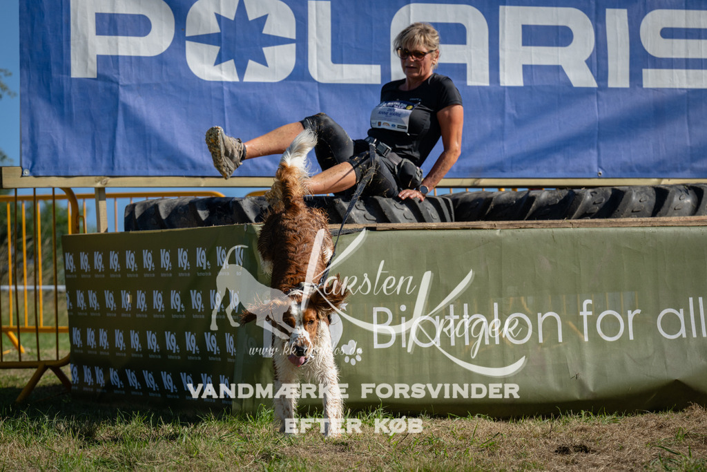 1009_ZZ97723 | kk-dogfotos