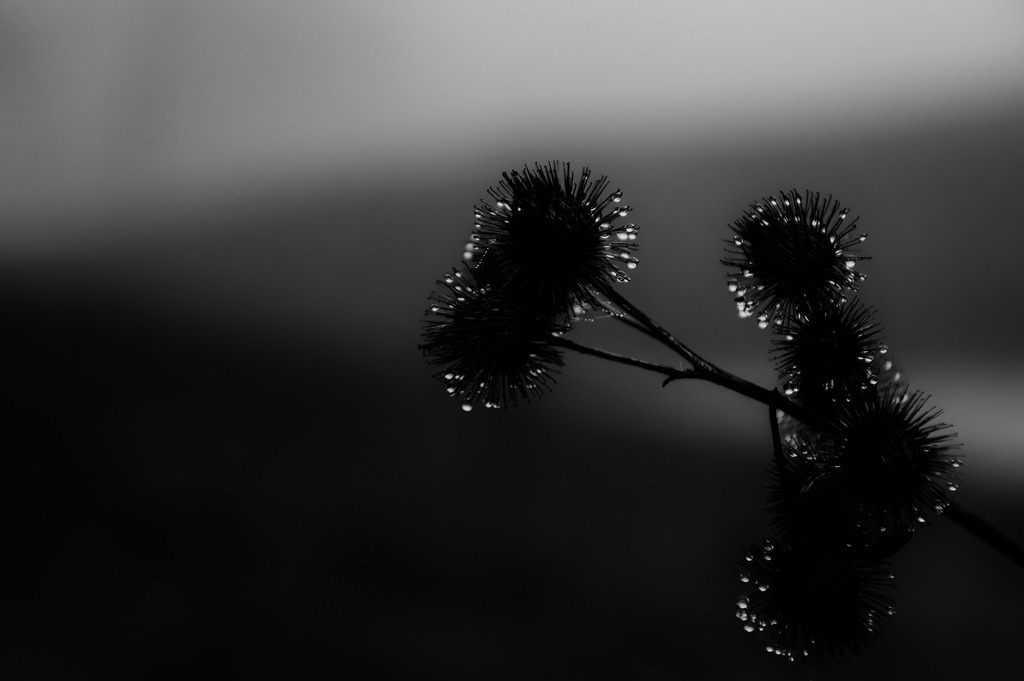 2025_02_01_HH-OEVELGOENNE NEBEL_MCP5301 sw | Hochwertig gedruckte Fotografien für die Wand, als Kalender und zum Verschenken. Hamburg & Norddeutschland und überall wo ich mit der Kamera unterwegs war.