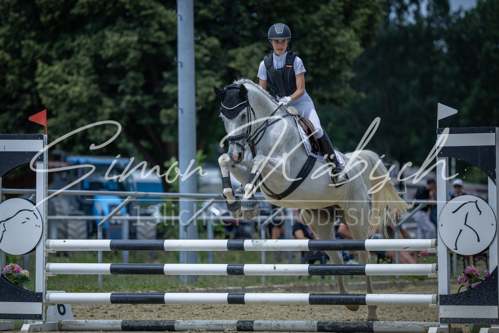 20260704-_3LI8879 | Tierfotografie Pferde, Hunde, Katzen, Haustiere.
Turnierfotografie Reitturniere, Reiten, Springreiten, Dressur in Hanau, dem Main-Kinzig-Kreis und dem Rhein-Main- Gebiet um Frankfurt