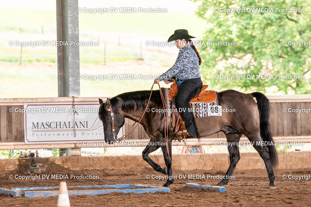 Erbach Tag 2-284 | dv-media-shop - Realisiert mit Pictrs.com