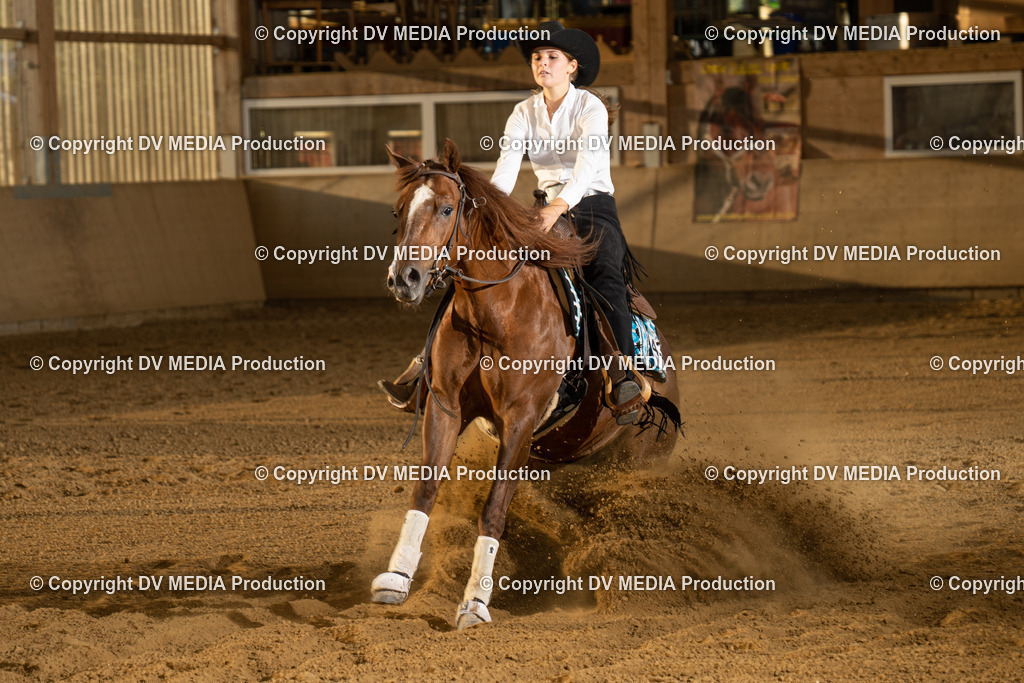 LAU02006 | dv-media-shop - Realisiert mit Pictrs.com