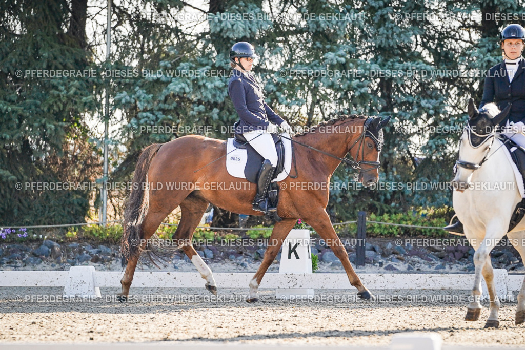 DSC08665 | Pferdegrafie