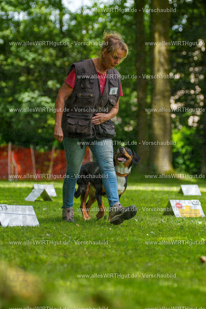 @allesWIRTHgut_Tierfotografie - www.allesWIRTHgut.de - 7R504601 | Professionelle Tierfotografie in Mönchengladbach von Daniel Wirth (allesWIRTHgut). Liebevolle & natürliche Bilder von Hunden & Katzen für unvergessliche Erinnerungen.
