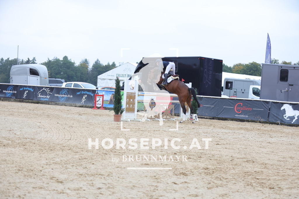 0P6A6392 | Willkommen bei Brunnmayr - Design & Fotografie – Ihrem Spezialisten für Reitturniere und Pferdeveranstaltungen in Oberösterreich, Salzburg und Bayern! Seit über 17 Jahren sind wir leidenschaftlich dabei.