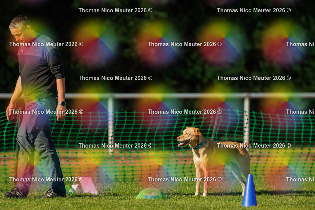 Thomas_Nico_Meuter(C)_04. Oktober 2026_223A4020 | Bild von Thomas Nico Meuter - Realisiert mit Pictrs.com