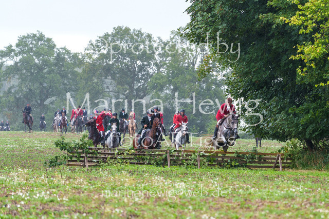 Jagd Perdoel 26 Sony-03451_MarinaHewig | Fotografie, FotoArt, PferdesportArt, Pferdesportfotografie, Landschaftsfotografie, Reisefotografie, Reise, Pferde - Realisiert mit Pictrs.com