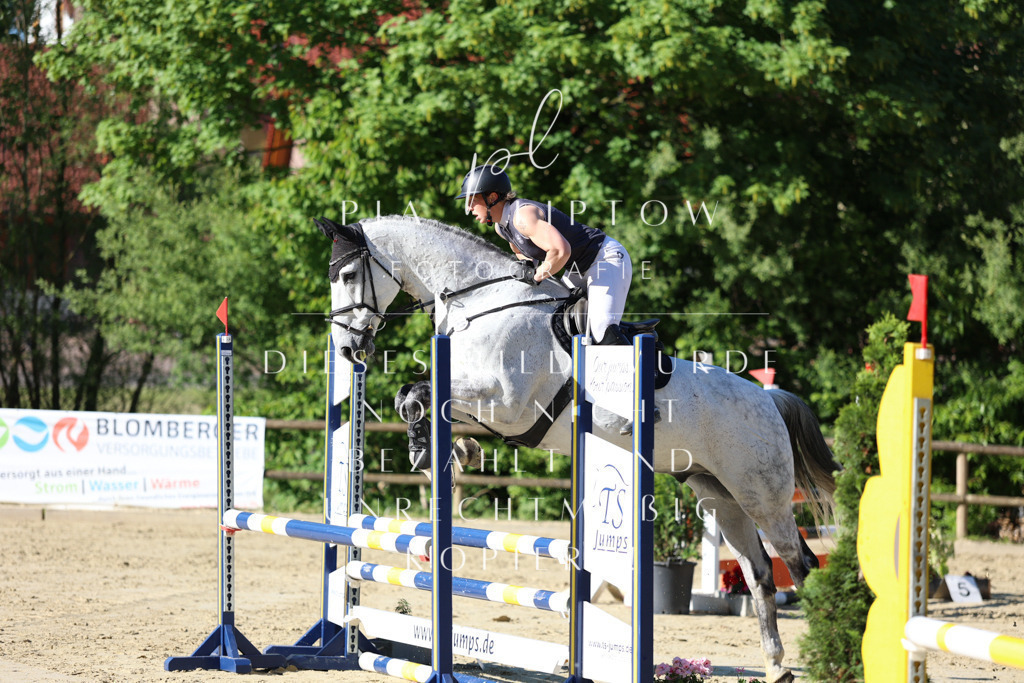 IMGS5616 | pl-fotografie