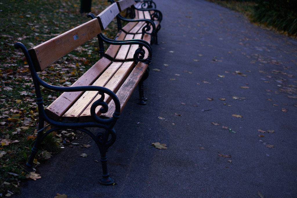 Leere Sitzbankreihe in der Parkanlage | Wien, Austria - November 29, 2023: Leere Sitzbankreihe in der Parkanlage im Herbst. - Realisiert mit Pictrs.com