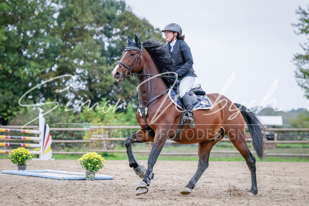 20251012-_3LI4887 | Tierfotografie Pferde, Hunde, Katzen, Haustiere.
Turnierfotografie Reitturniere, Reiten, Springreiten, Dressur in Hanau, dem Main-Kinzig-Kreis und dem Rhein-Main- Gebiet um Frankfurt