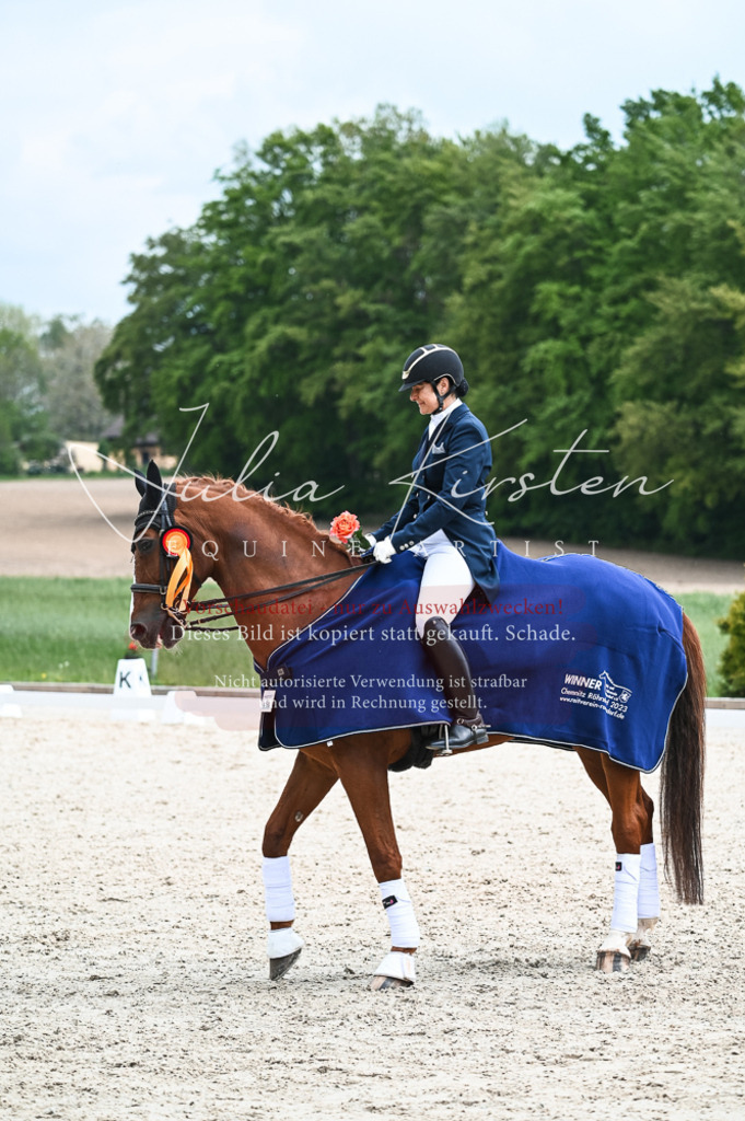 20230514_JK-Röhrsdorf-19-367 | Pferde- und Turnierfotografie in Westsachsen. Pferdeportraits, Auftragszeichnungen und intuitive Kunst.