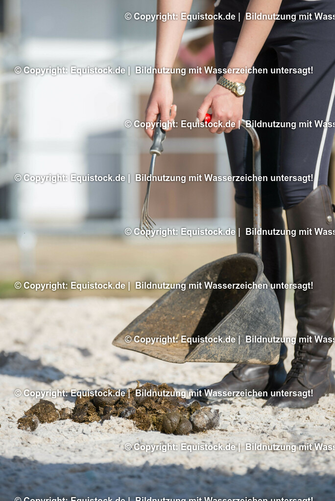 20160421_Reitplatzpflege_0004 | equistock