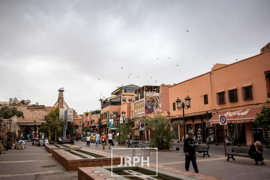 IMG_8008 | jrph - Realisiert mit Pictrs.com