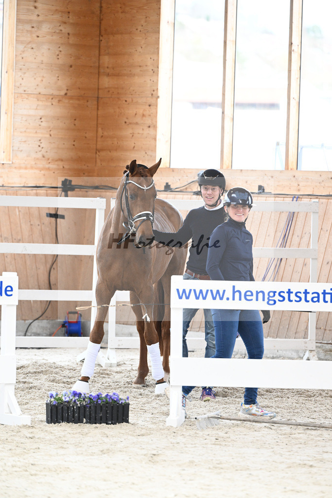 Kat-Nr. 69 Valerio LK v. Va Bene_Kloessinger_7241458 | hf-fotografie - Realizzato con Pictrs.com