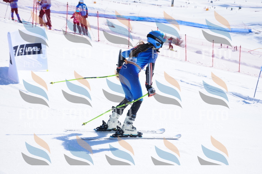 DSC_3907 | holidayphoto