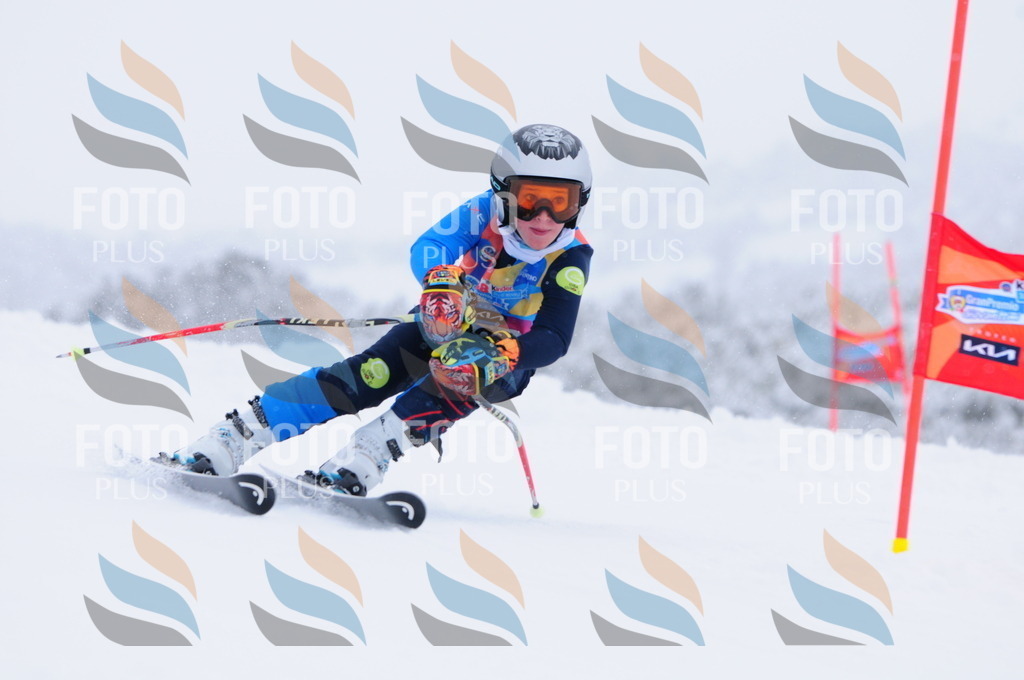 C2395 | holidayphoto