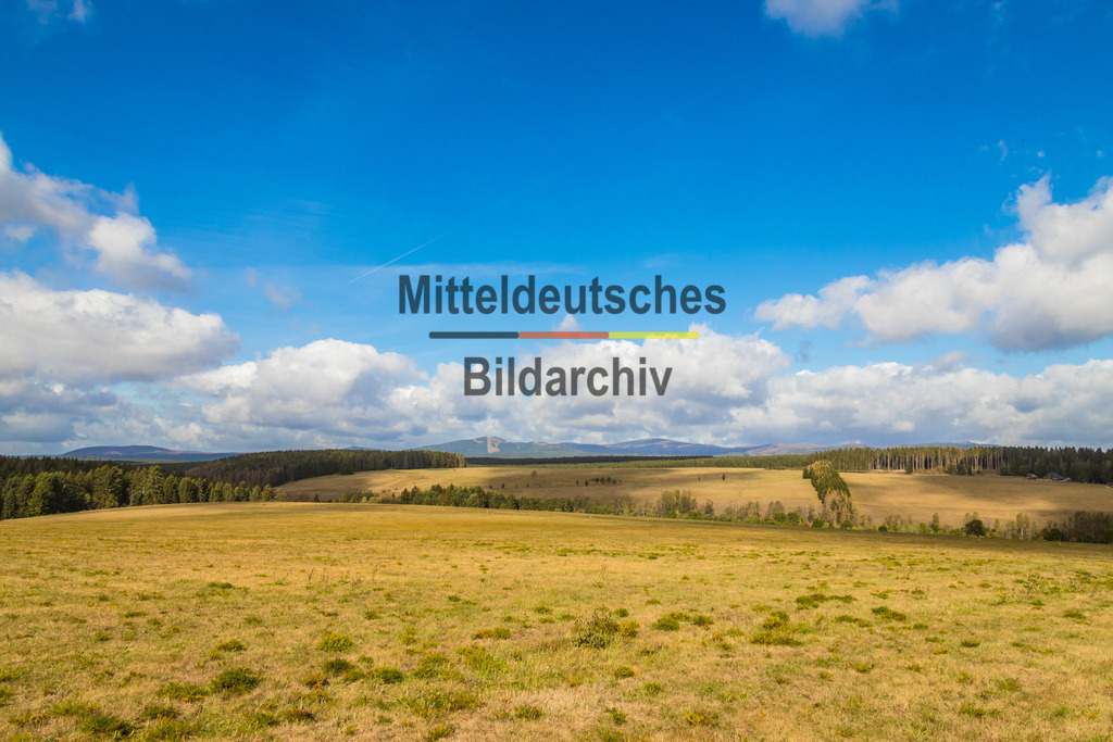 innerdeutsche Grenze Grünes Band Sorge Benneckenstein-0313 | Die innerdeutsche deutsch-deutsche Grenze, das Grüne Band - Realisiert mit Pictrs.com