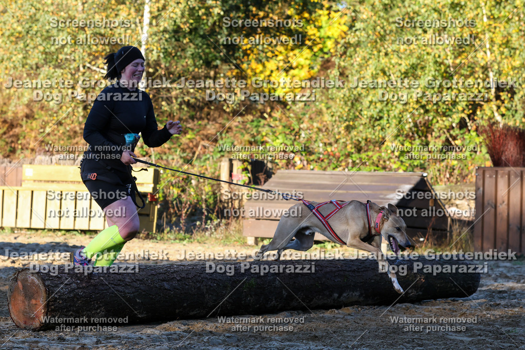 Dog Paparazzi - Strongdog 10-25-833 | Dog Paparazzi Jeanette Grottendiek Fotografie & Videografie - Realisiert mit Pictrs.com