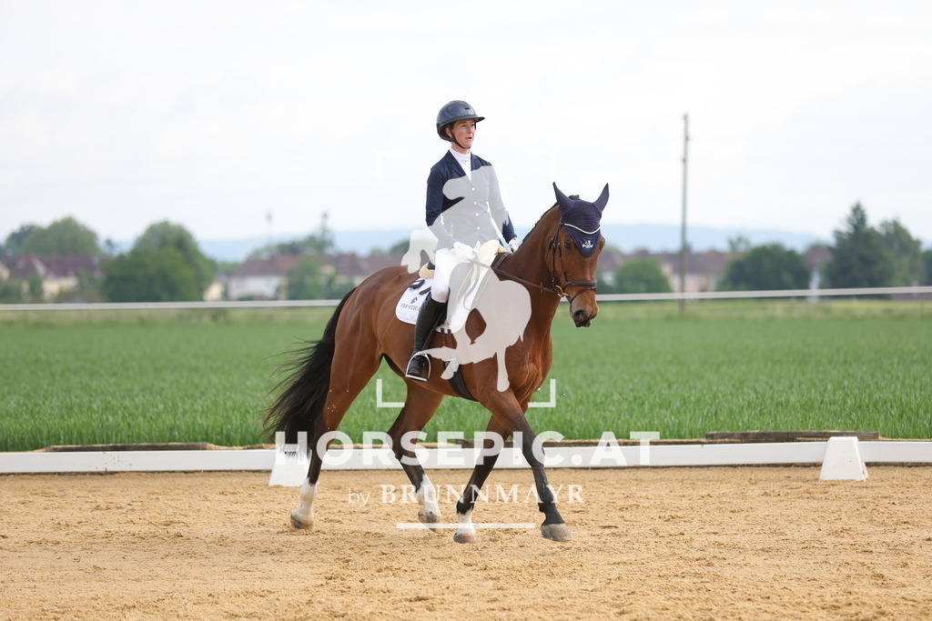 0P6A9788 | Willkommen bei Brunnmayr - Design & Fotografie – Ihrem Spezialisten für Reitturniere und Pferdeveranstaltungen in Oberösterreich, Salzburg und Bayern! Seit über 17 Jahren sind wir leidenschaftlich dabei.