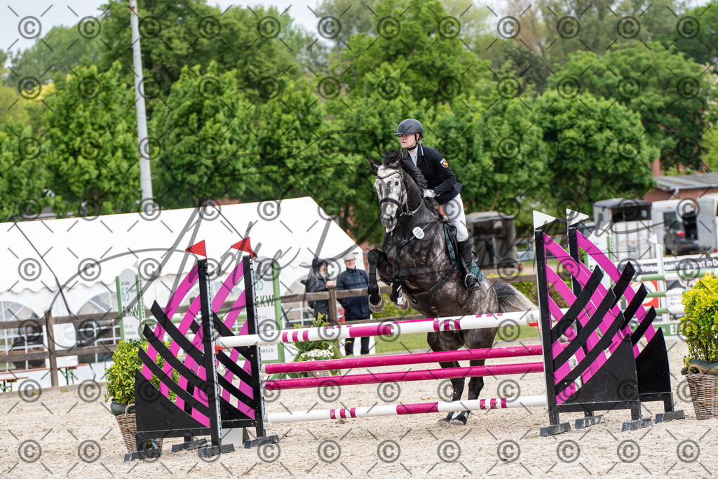 KPT_8943 | andre_photographic