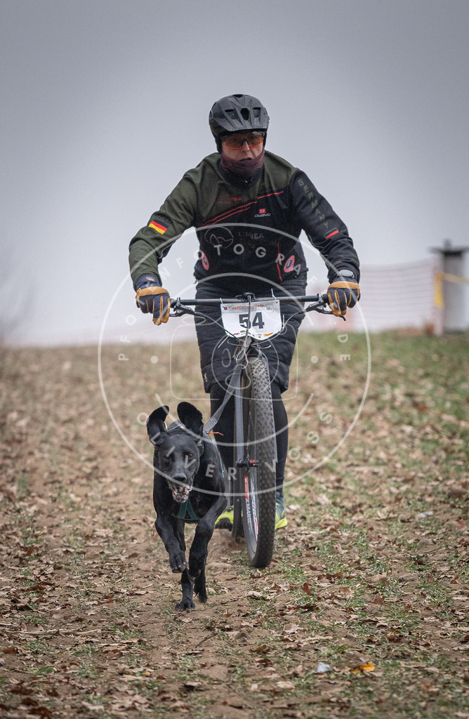 Pfotenfotografie_DV3A1111 | Hundefotografie, Tierfotograf, Pfotenfotografie, Fotoshooting Hund, Hunde Portrait, Hundesport, Hundeportraits, Heideshooting, Hunde, Sportfotograf, Hundefotograf, Turnierhundsport, THS,  - Realisiert mit Pictrs.com