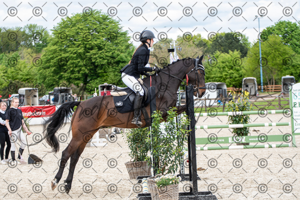 KPT_6135 | andre_photographic