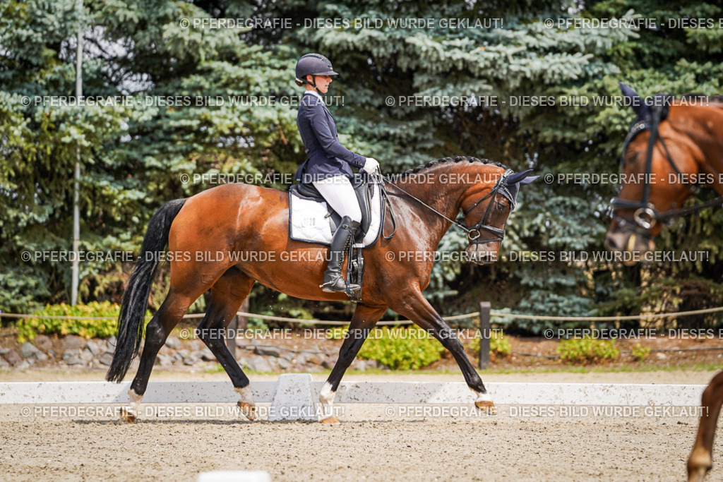 DSC02164 | Pferdegrafie