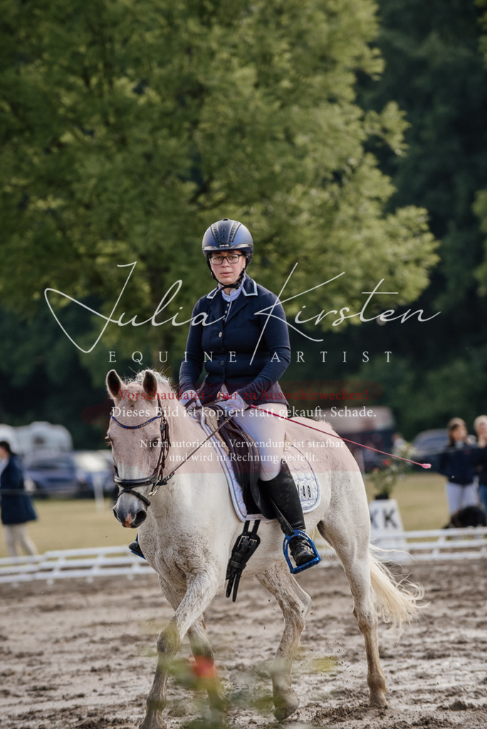 DSC_7995 | Pferde- und Turnierfotografie in Westsachsen. Pferdeportraits, Auftragszeichnungen und intuitive Kunst.