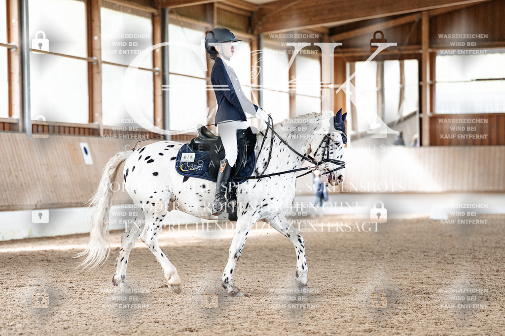 CK909993 | Turnierfotografie Pferdefotografie Trier Rheinland-Pfalz Pferdesport Reitsport Tierfotografie Sportfotografie Pferdevideo Pferdevideografie Equestrianvideography equestrianphotography  - Realisiert mit Pictrs.com