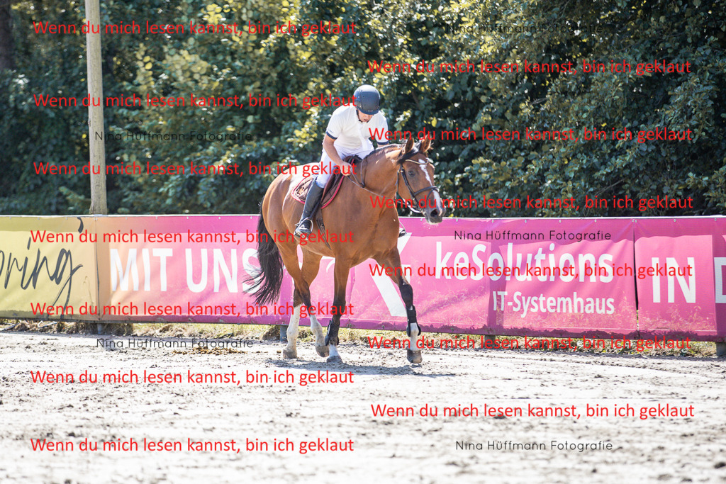 BK1A6367 | Turnierbilder Turnierfotos Nina Hüffmann Turnierfotografie Pferdefotografie Tierzeichnung Haustierzeichnung Pferdezeichnung Hundezeichnung Videograf  - Realisiert mit Pictrs.com