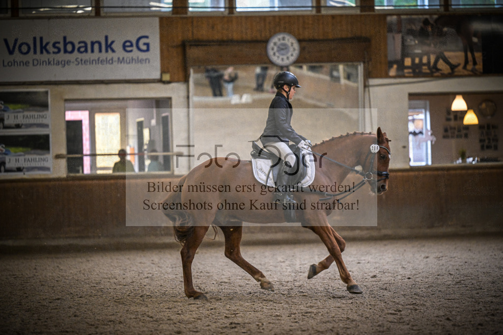 DOS_1322 | Entdecke hochwertige Reitturnierfotos von Foto Oger. Professionell, emotional und authentisch – jetzt Lieblingsmomente im Shop bestellen.Deutschlandweite Turnierfotografie. - Realisiert mit Pictrs.com
