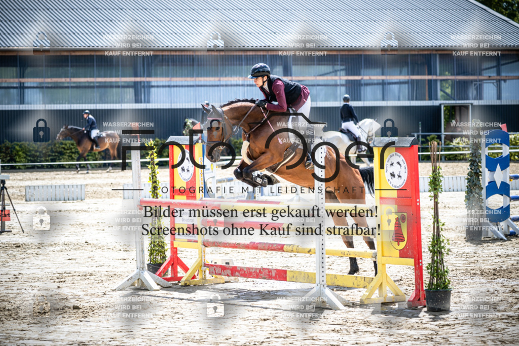 DOS_1700 | Reitturnier Lüdinghausen - Realisiert mit Pictrs.com
