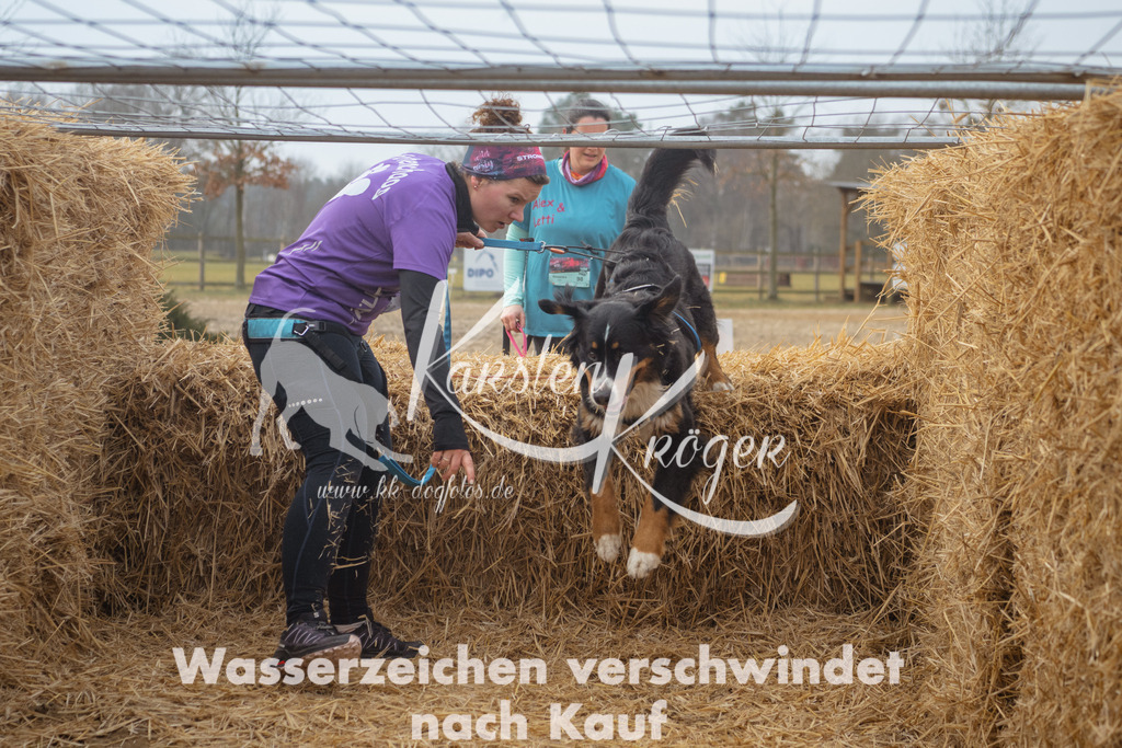 0958_ZZ91272 | kk-dogfotos